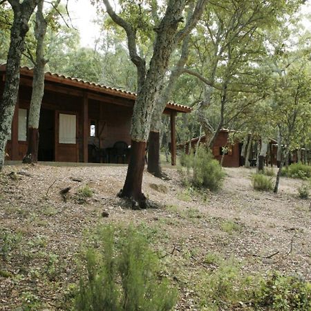 Camping Maçanet de Cabrenys Exterior foto